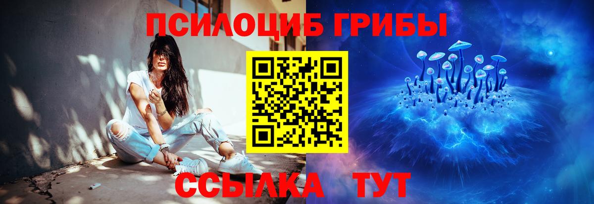 Каменка  Псилоцибиновые грибы MAGIC MUSHROOMS  Псилоцибиновые грибы мухоморы  Вход с VPN 